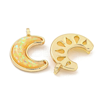 Translucent Resin Pendants KK-M291-23G-01-1