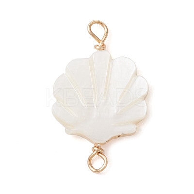 Natural Freshwater Shell Connector Charms PALLOY-JF02442-01-1
