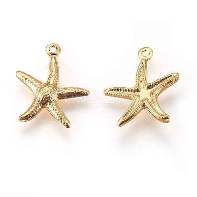 304 Stainless Steel Charms LS-STAS-E447-19G-1
