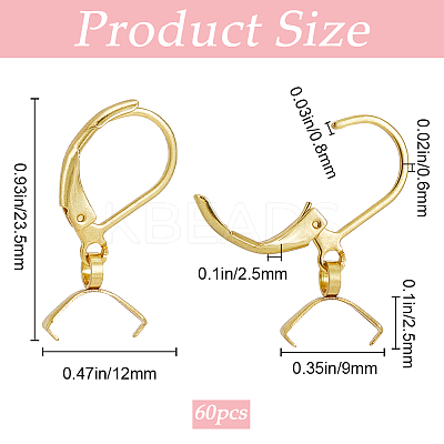 60Pcs 304 Stainless Steel Leverback Earring Findings STAS-SP0001-21G-1