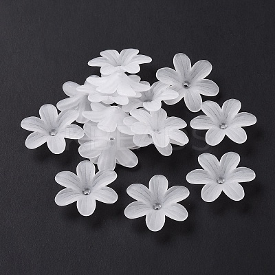 6-Petal Transparent Acrylic Bead Caps LS-X-OACR-A017-14-1