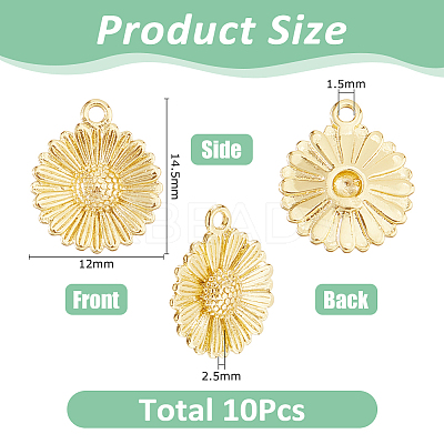 10Pcs Brass Pendants KK-HS0015-61-1