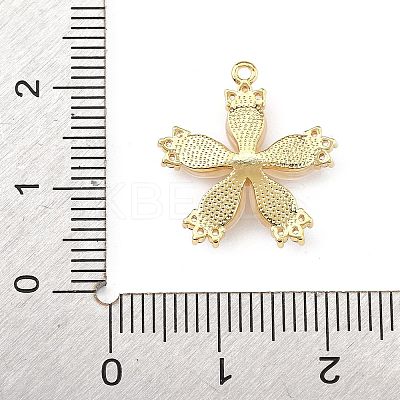Brass Micro Pave Cubic Zirconia Pendants LS-KK-K371-43G-1