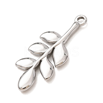 304 Stainless Steel Pendants SA-CBAB6EC-19P-01-1