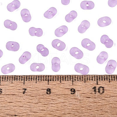 FGB Frosted Transparent Glass Seed Beads SEED-N013-06A-07-1