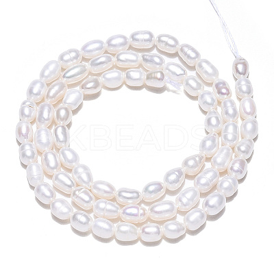 Natural Cultured Freshwater Pearl Beads Strands PEAR-N012-03E-1
