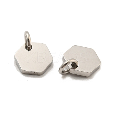 Non-Tarnish 304 Stainless Steel Charms STAS-P356-01P-1