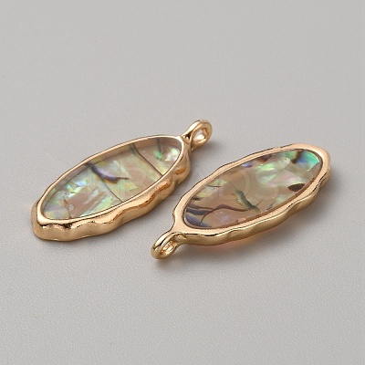 Resin Imitation Abalone Paua Shell Pendants FIND-WH0417-12A-1