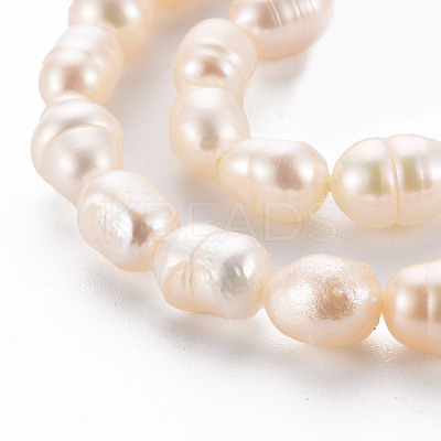 Natural Cultured Freshwater Pearl Beads Strands PEAR-S012-41E-1
