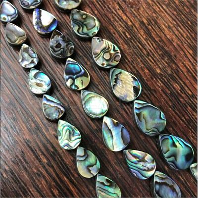 Paua Shell Bead Strands BSHE-WH0001-07-1