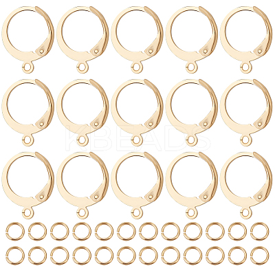 100Pcs 304 Stainless Steel Leverback Earring Findings STAS-BBC0002-68-1