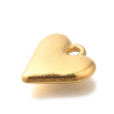 Ion Plating(IP) 304 Stainless Steel Pendants STAS-I321-75G-1