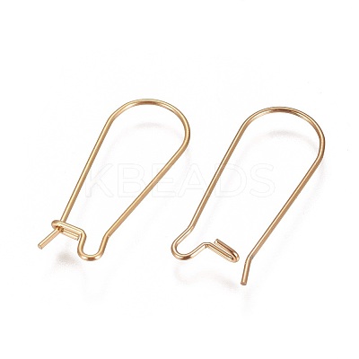 Ion Plating(IP) 304 Stainless Steel Hoop Earrings Findings Kidney Ear Wires LS-X-STAS-L216-22B-G-1