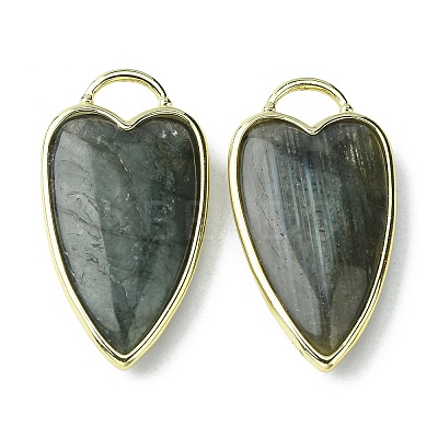 Natural Labradorite Pendants G-O204-02F-1