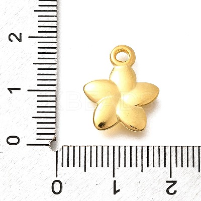 304 Stainless Steel Pendants LS-STAS-P381-10G-1