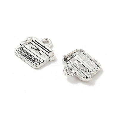 Tibetan Style Alloy Charms FIND-B050-28AS-1