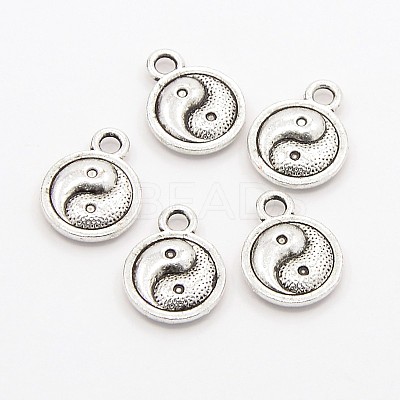 Feng Shui Tibetan Style Alloy Charms Pendants TIBEP-A039-AS-NF-1