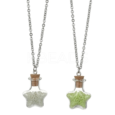 2Pcs 2 Color Luminous Glass Star Bottle Pendant Necklace NJEW-JN04522-1