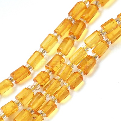 Natural Amber Beads Strands G-K387-G01-01-1