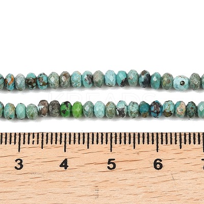 Natural HuBei Turquoise Beads Strands G-B175-A14-2x4mm-1
