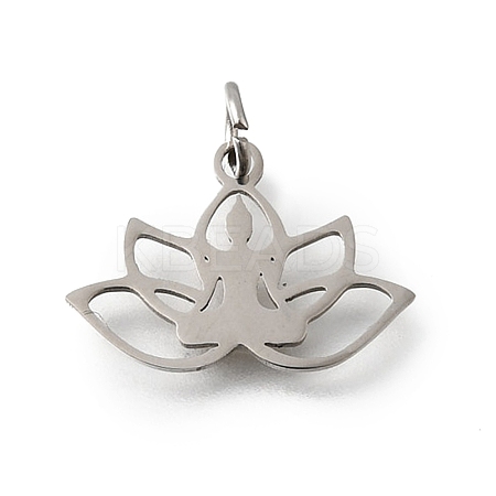 304 Stainless Steel Charms STAS-M119-03P-1