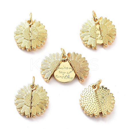 Brass Micro Pave Clear Cubic Zirconia Openable Pendants LS-KK-D004-14G-1