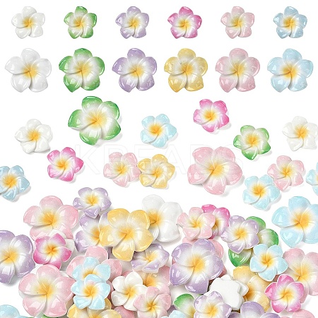 60Pcs 2 Styles Plumeria Flower Opaque Resin Cabochons CRES-YW0002-60-1