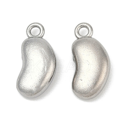 304 Stainless Steel Charms LS-STAS-E500-03P-1