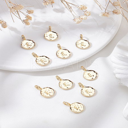10Pcs Alloy Pendants FIND-LP0003-36E-1