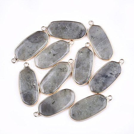 Natural Labradorite Pendants X-G-T112-23A-1