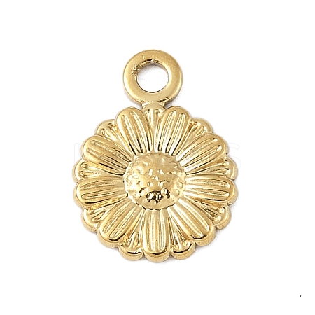 304 Stainless Steel Charms STAS-S177-02G-1