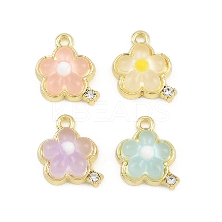 Alloy & Resin Pendants RE-CBA1FD3-15G-1