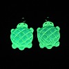 Gradient Color & Luminous Opaque Resin Pendants LS-RESI-S011-01A-3
