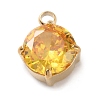 304 Stainless Steel Micro Pave Cubic Zirconia Pendants STAS-K292-01G-10-1