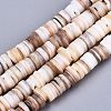 Natural Freshwater Shell Beads Strands X-SHEL-N026-94A-01-1