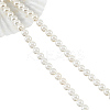 Natural White Shell Beads Strands SHEL-WH0001-009B-2