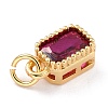 Real 18K Gold Plated Brass Inlaid Cubic Zirconia Charms ZIRC-L100-075G-04-4