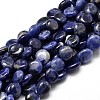 Natural Sodalite Nuggets Beads Strands LS-G-J336-09-1