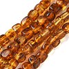 Natural Amber Beads Strands G-K387-E01-01-2