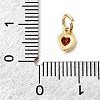 Brass Cubic Zirconia Charms LS-KK-G554-02C-04-3