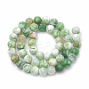 Dyed Natural Crackle Agate Beads Strands G-T100-03E-2