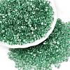 Baking Paint Transparent Glass Seed Beads SEED-N006-05J-1