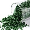 TOHO Round Seed Beads SEED-XTR11-0047H-1