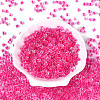 Transparent Inside Colours Glass Seed Beads SEED-T007-11D-1