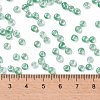 6/0 Glass Seed Beads SEED-A015-4mm-2218-4