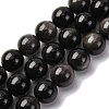 Natural Silver Sheen Obsidian Beads Strands G-F808-C01-16mm-2