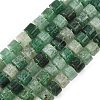 Natural Green Strawberry Quartz Beads Strands G-K245-C16-2