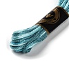 10 Skeins 6-Ply Polyester Embroidery Floss OCOR-K006-A46-2