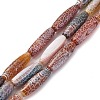 Natural Weathered Agate Beads Strands G-P570-C03-01-1