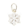 Christmas Themes Alloy Enamel Charms FIND-I063-01K-1